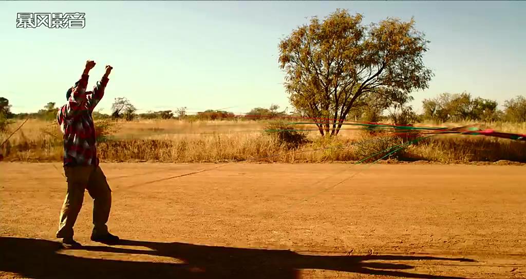 单亲度假村剧照的剧照