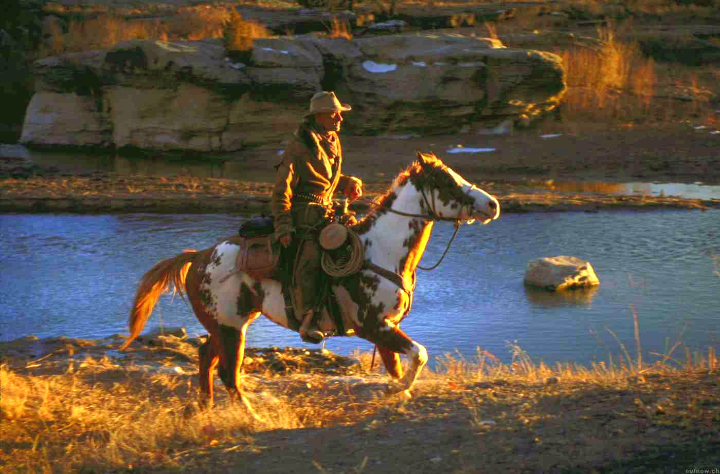 沙漠骑兵剧照的剧照