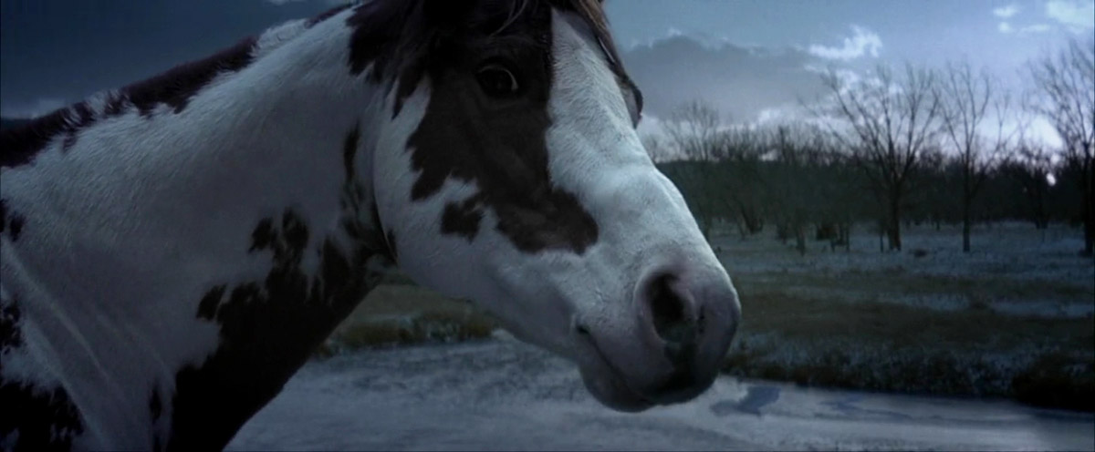 沙漠骑兵剧照的剧照