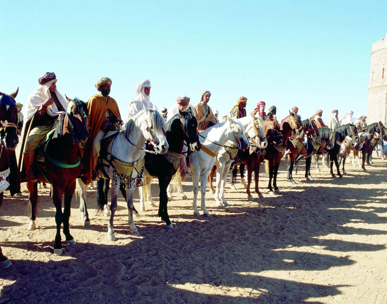 沙漠骑兵剧照的剧照