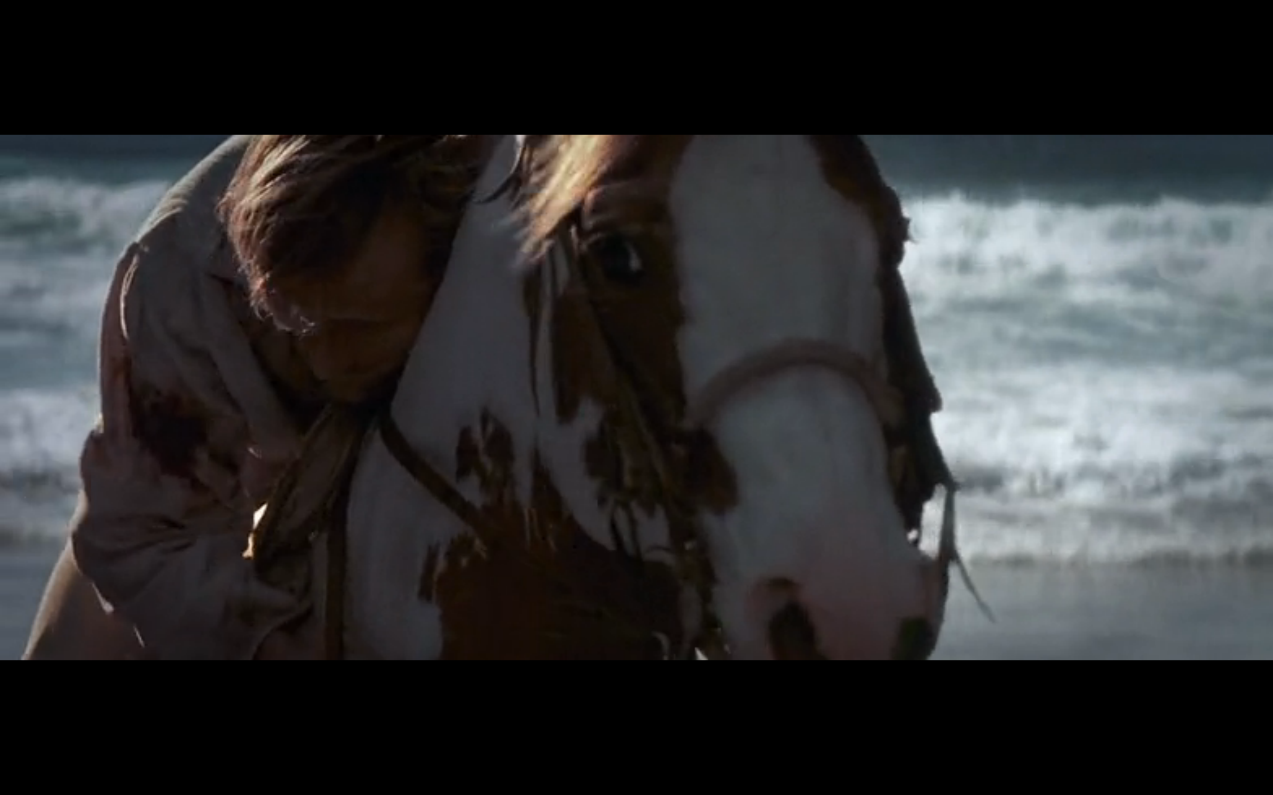 沙漠骑兵剧照的剧照