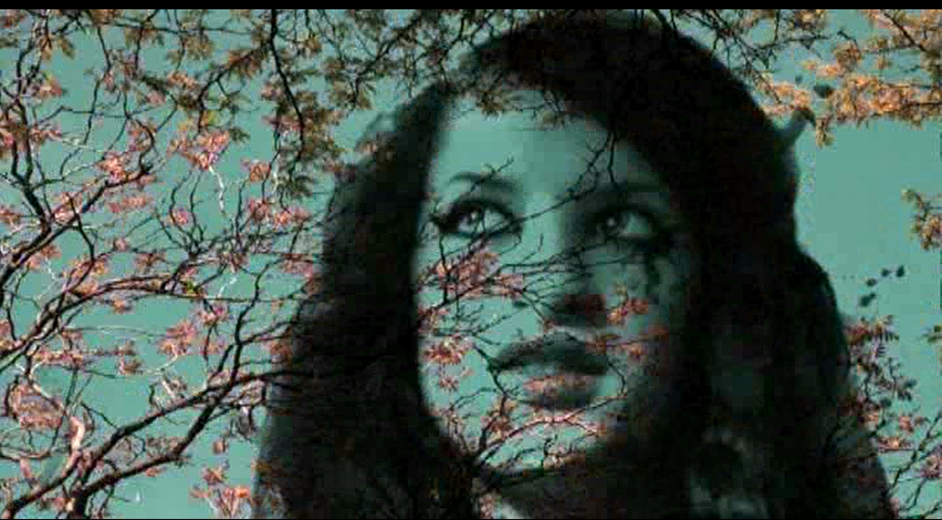 亵渎剧照的剧照