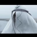 杀手 / 处女 / 影子剧照