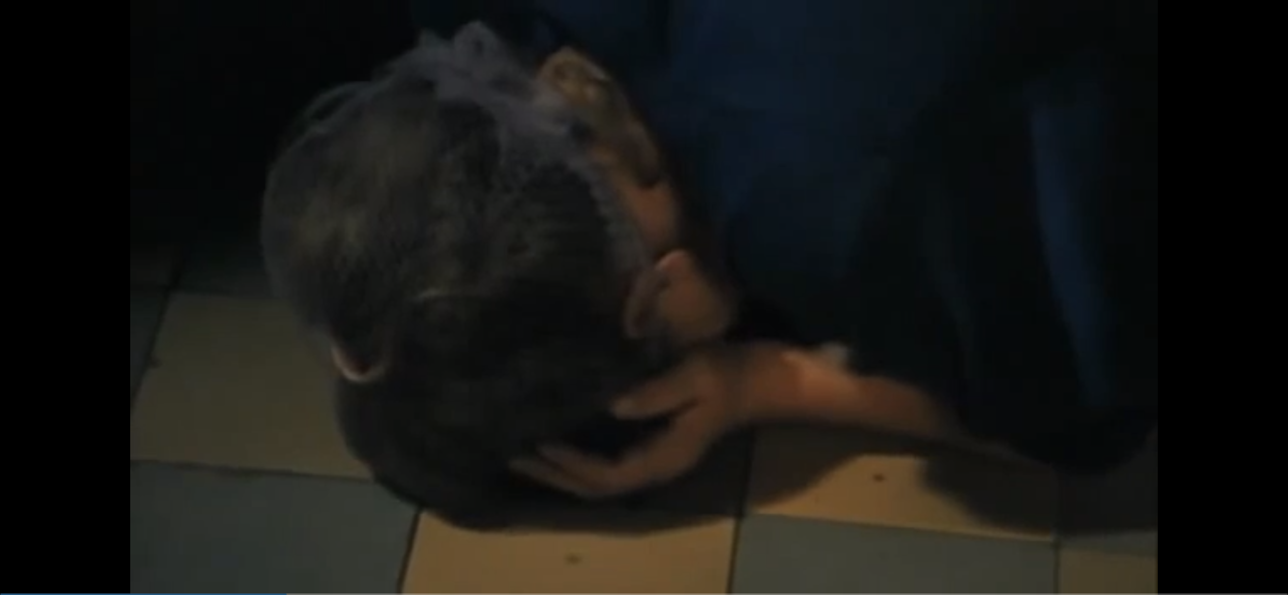 朝圣剧照的剧照