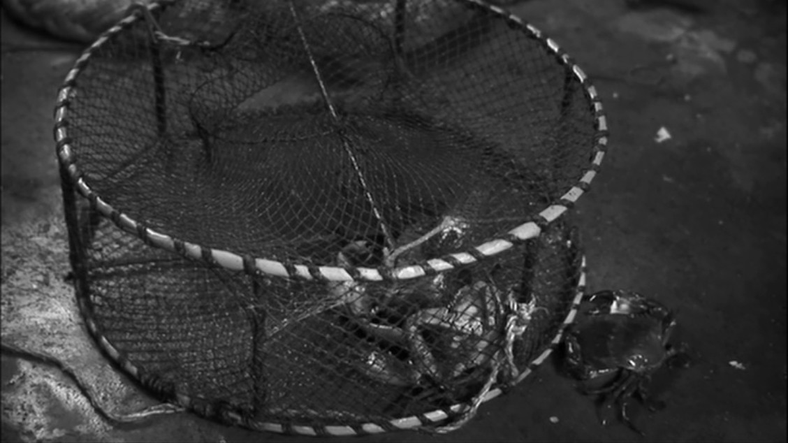 不能没有你剧照的剧照