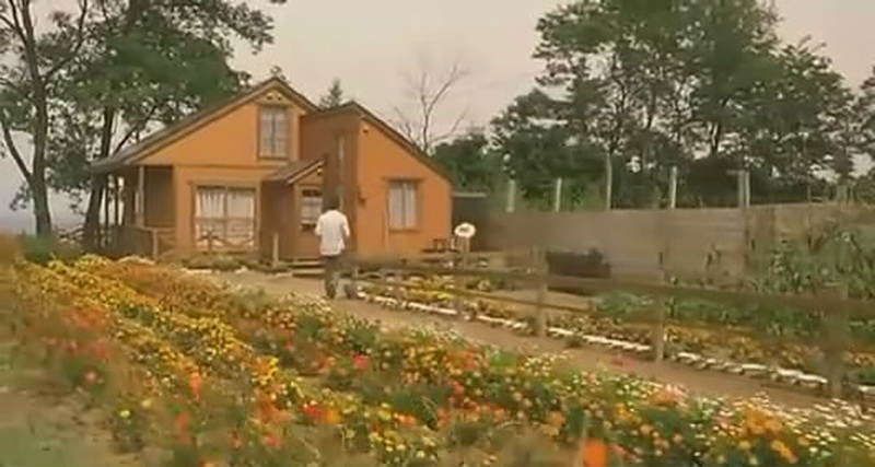 天国之恋火剧照的剧照