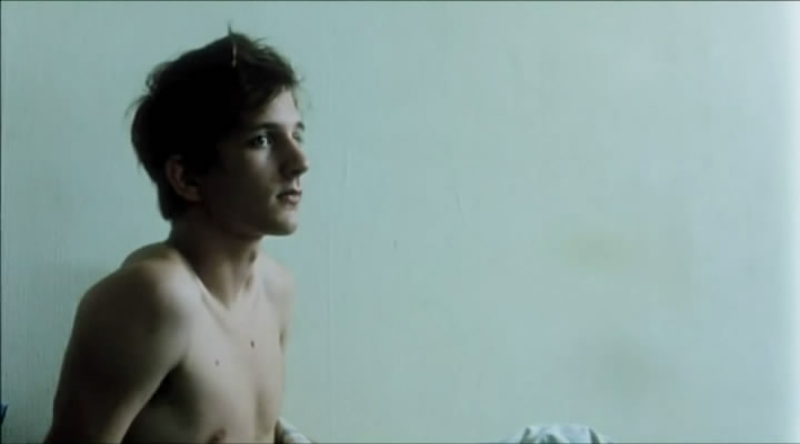 伤口愈合中剧照的剧照