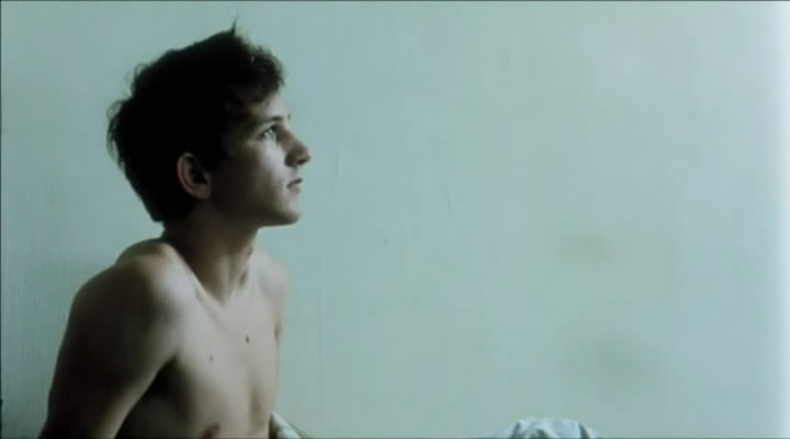 伤口愈合中剧照的剧照