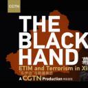 幕后黑手——“东伊运”与新疆暴恐剧照