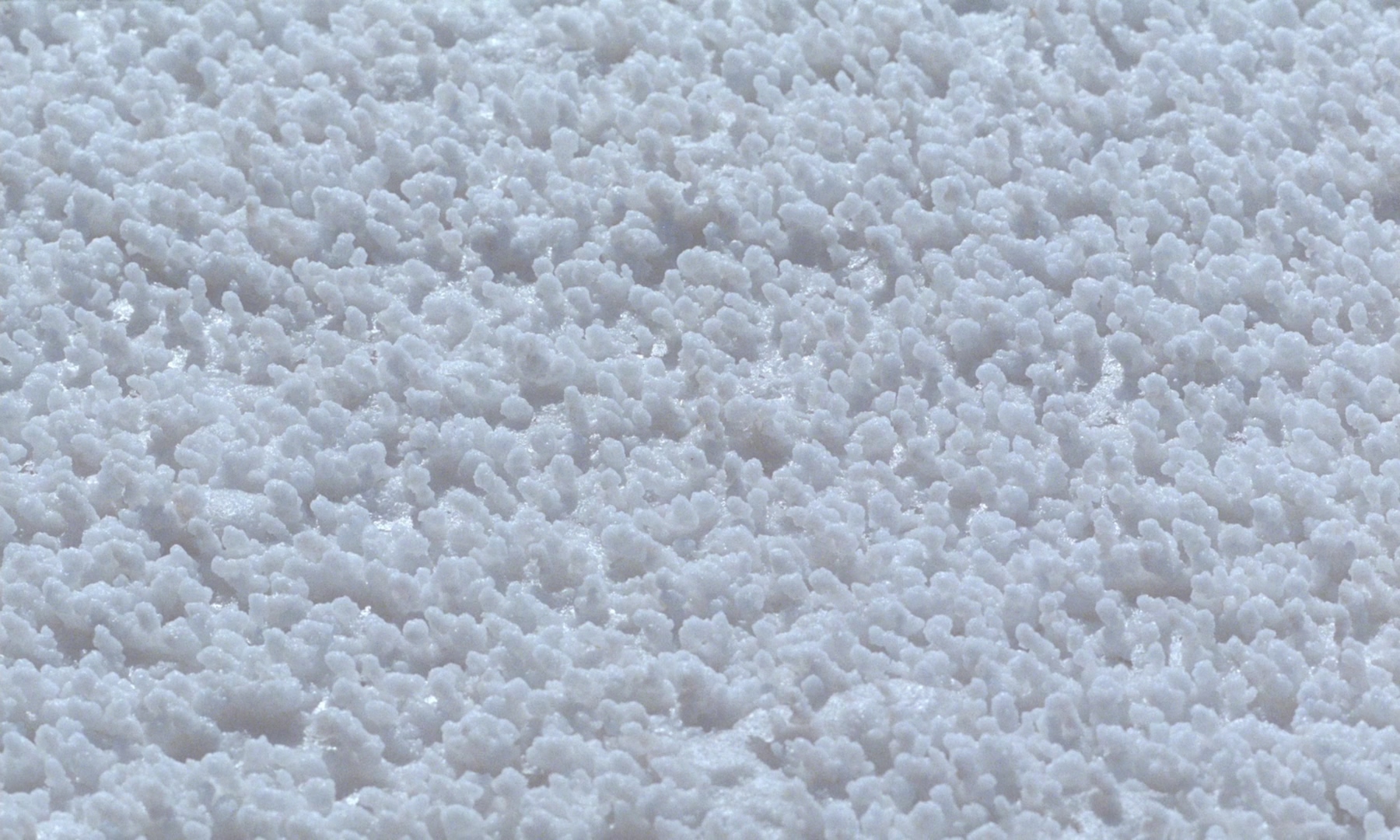 军中禁恋剧照的剧照