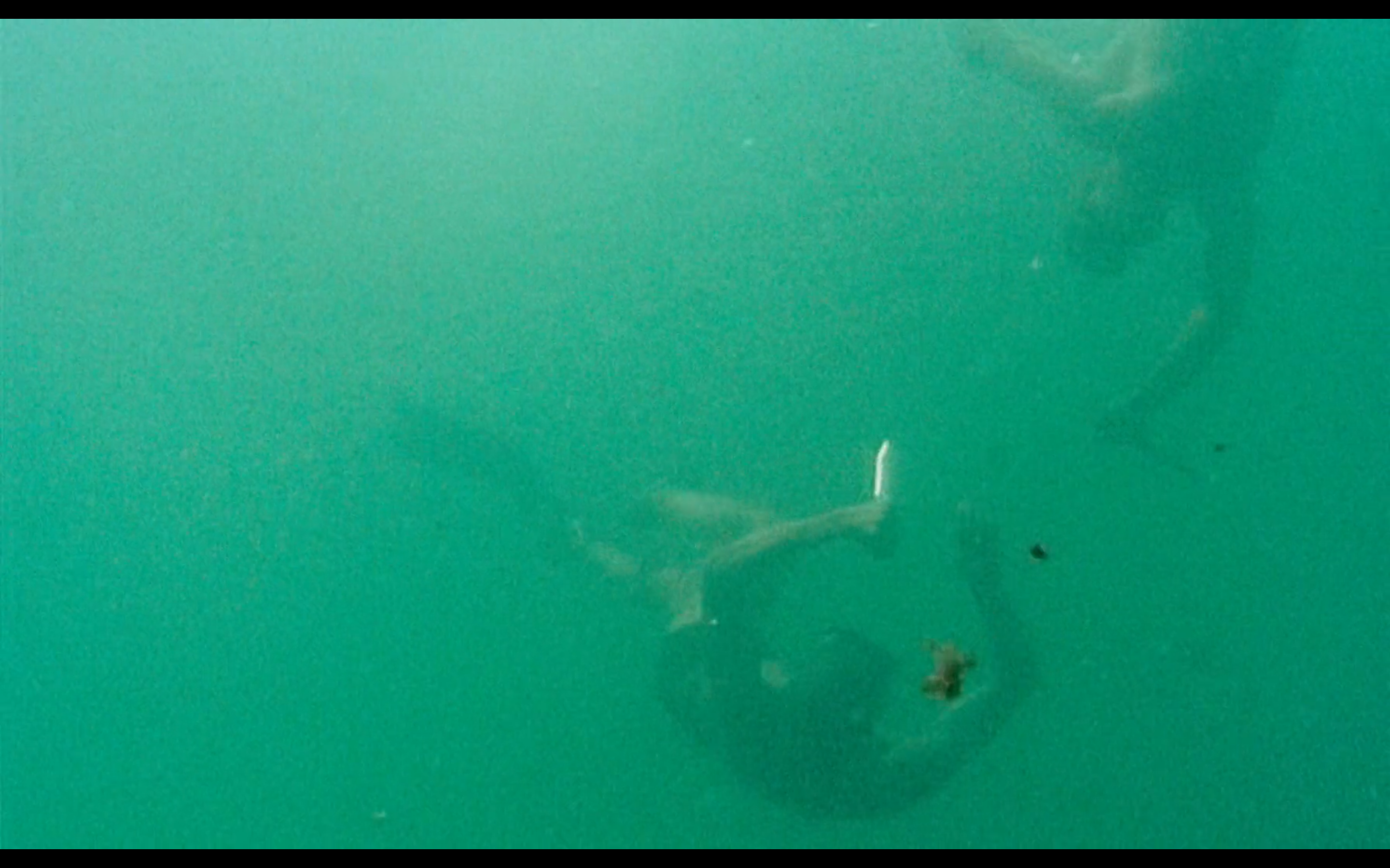 军中禁恋剧照的剧照