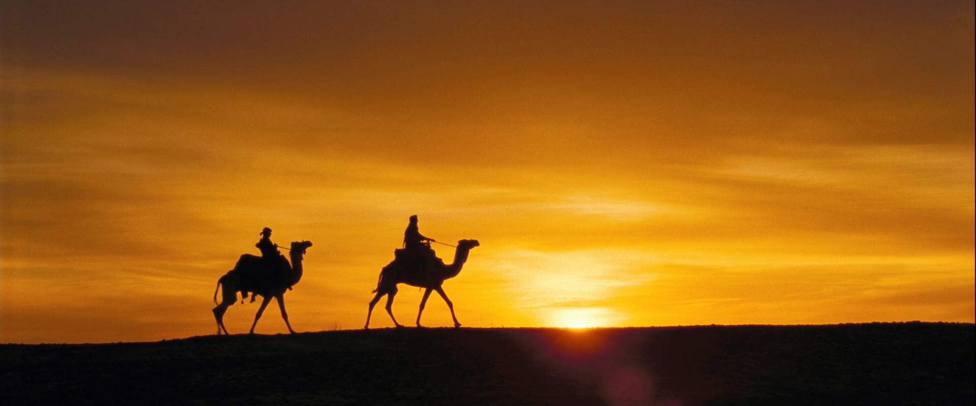 撒哈拉剧照的剧照