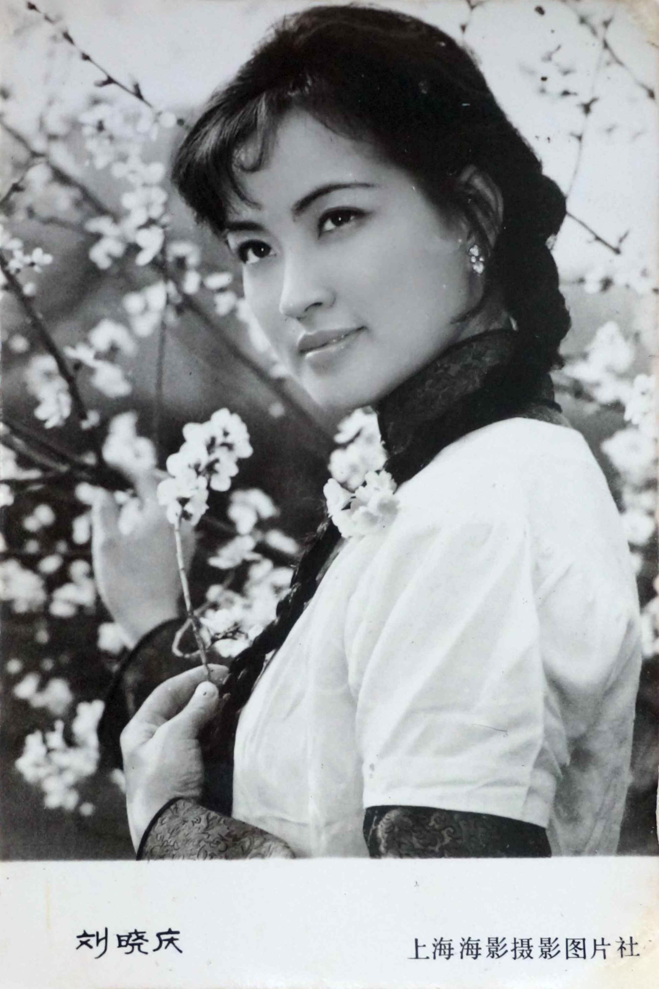 神秘的大佛剧照的剧照