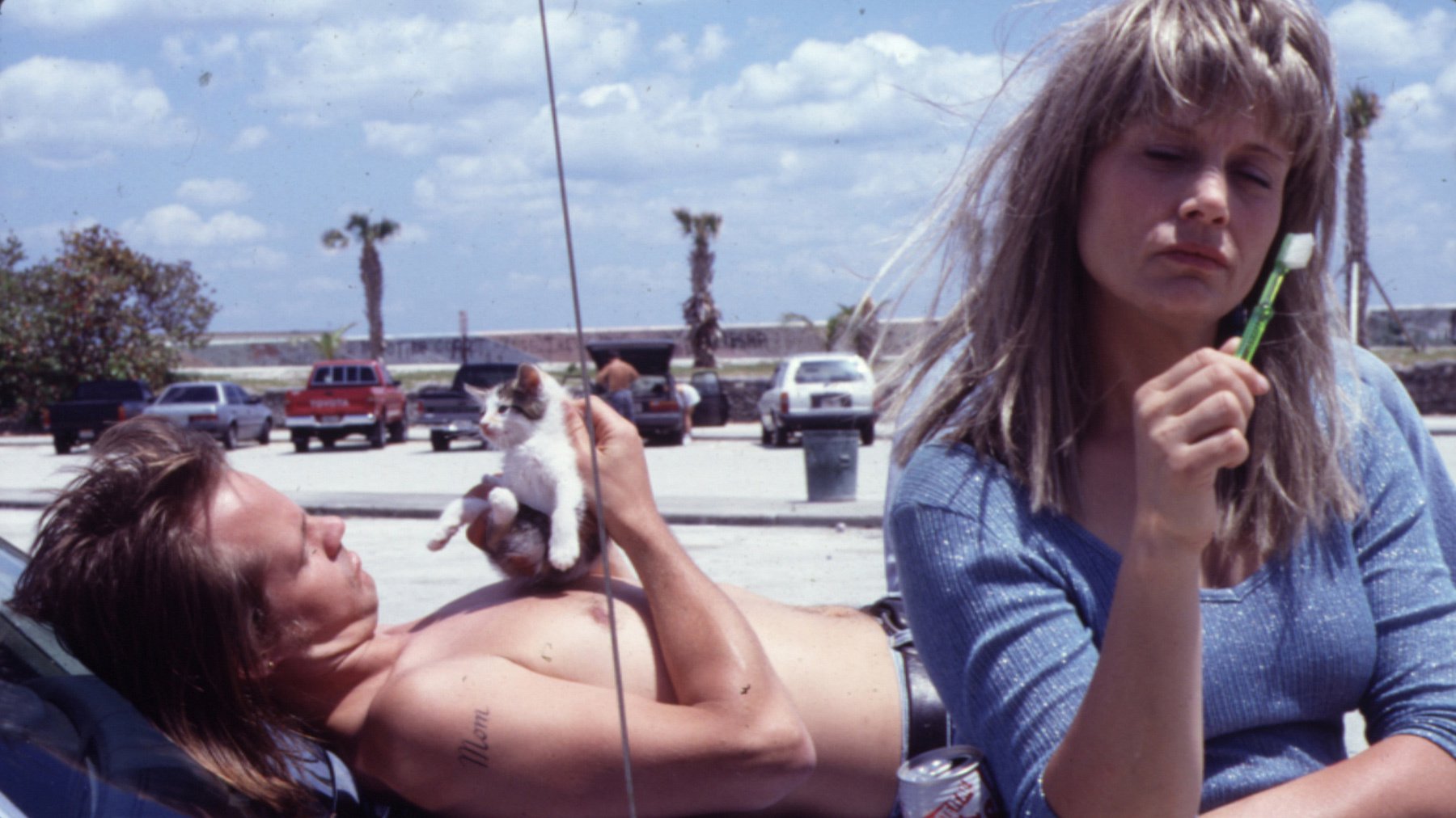 野草蔓生剧照的剧照