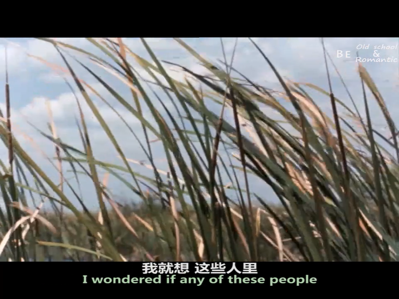 野草蔓生剧照的剧照