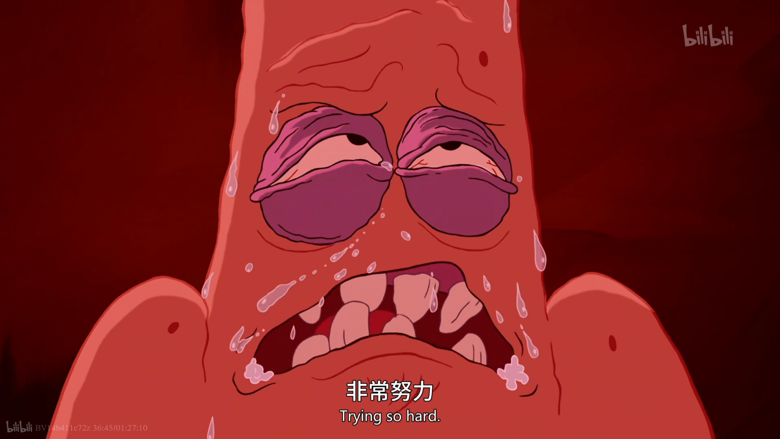 海绵宝宝历险记剧照的剧照