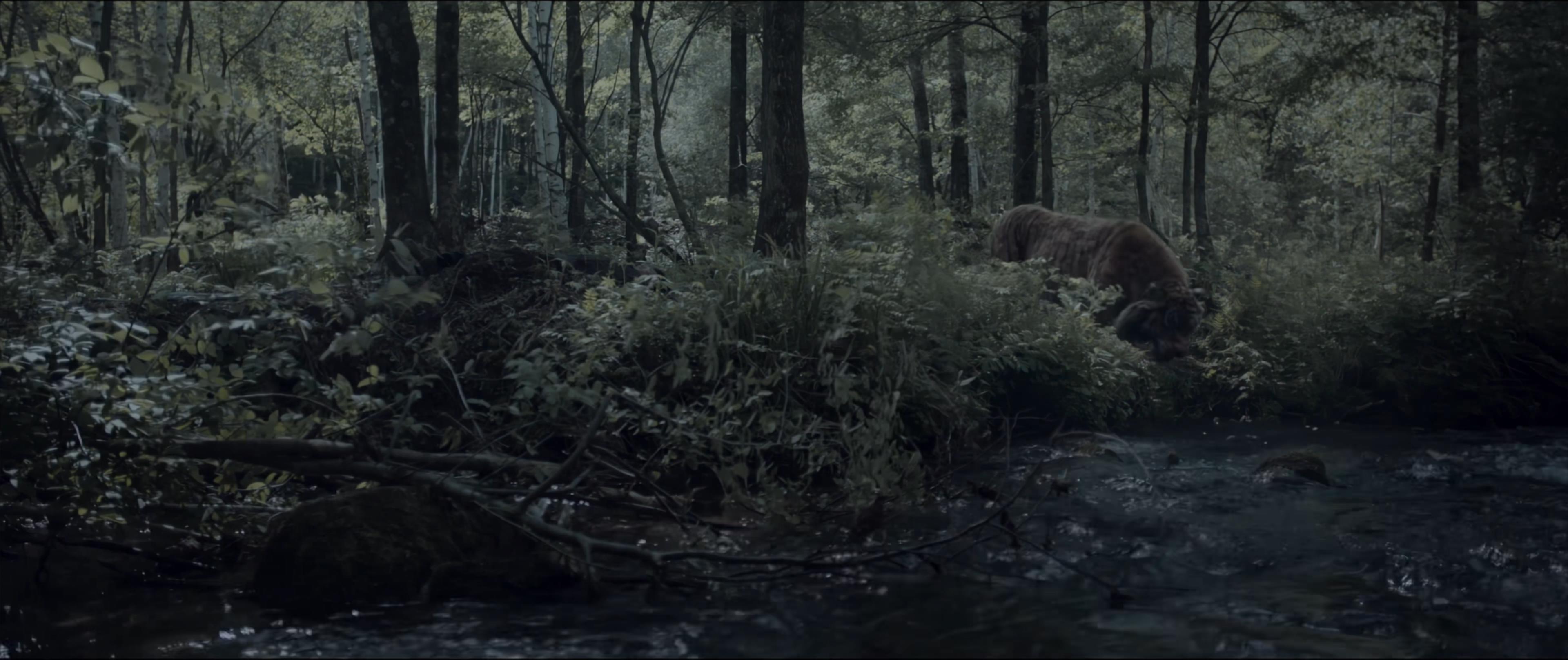 老虎剧照的剧照