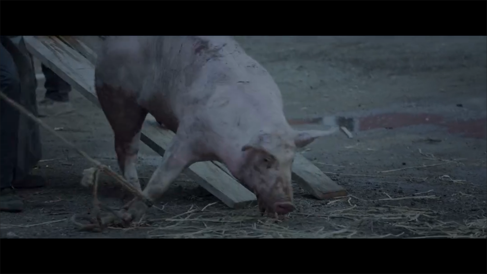 老虎剧照的剧照