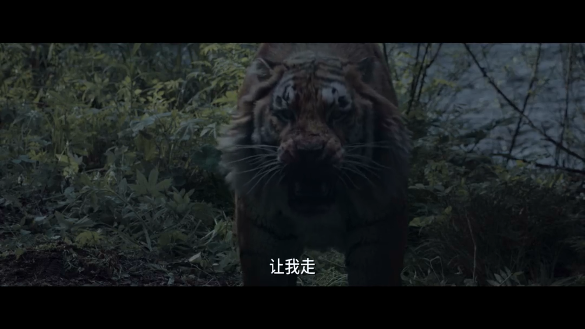 老虎剧照的剧照