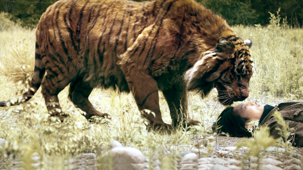 老虎剧照的剧照