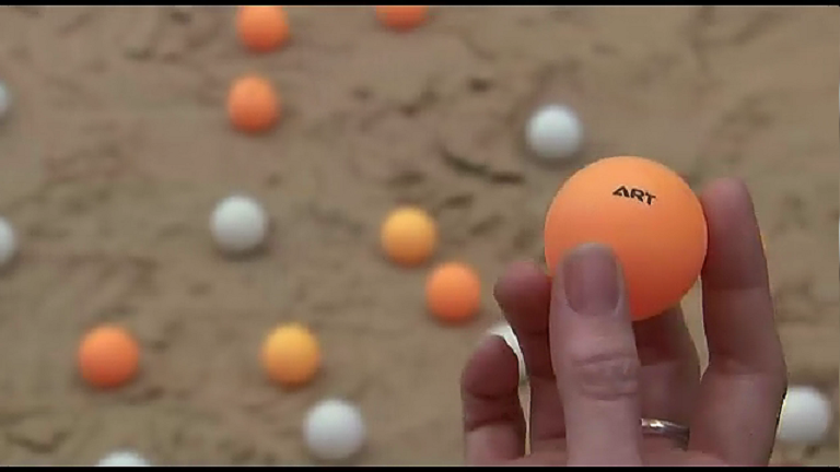 阿涅斯的海滩剧照的剧照