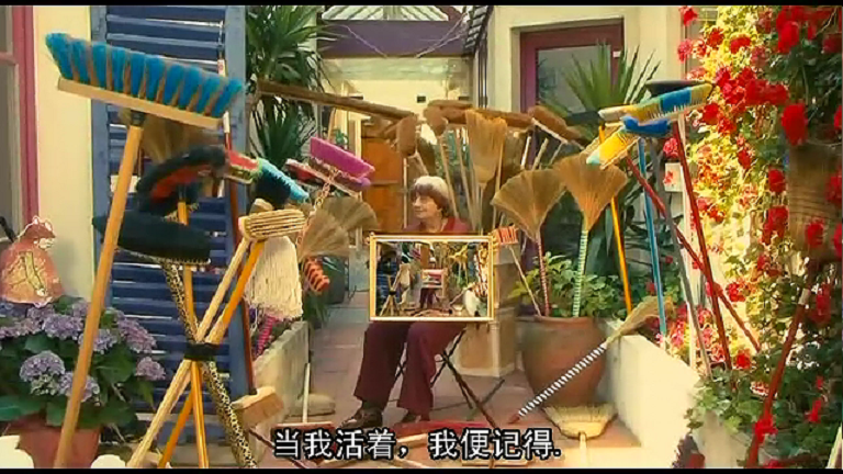 阿涅斯的海滩剧照的剧照