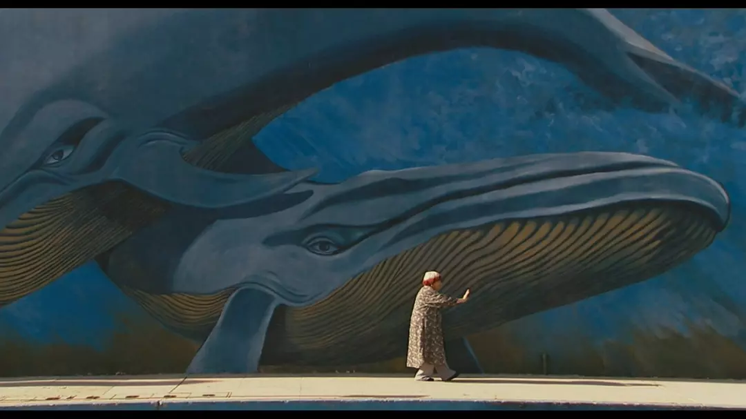 阿涅斯的海滩剧照的剧照