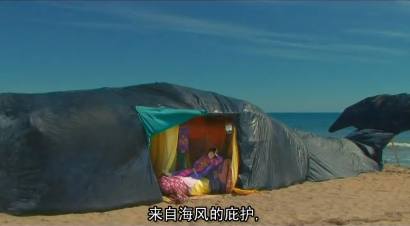 阿涅斯的海滩剧照的剧照