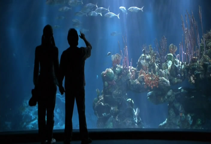 哈啦猛男秀剧照的剧照