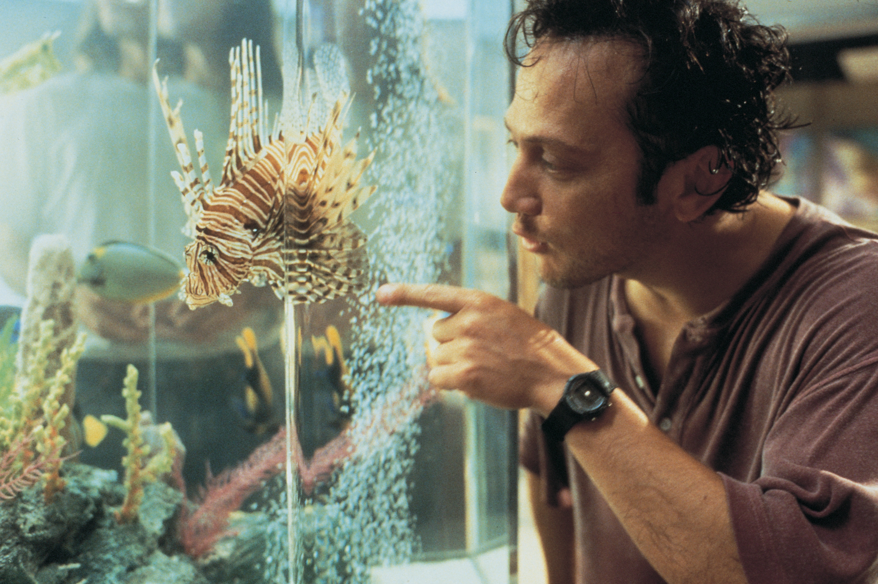 哈啦猛男秀剧照的剧照