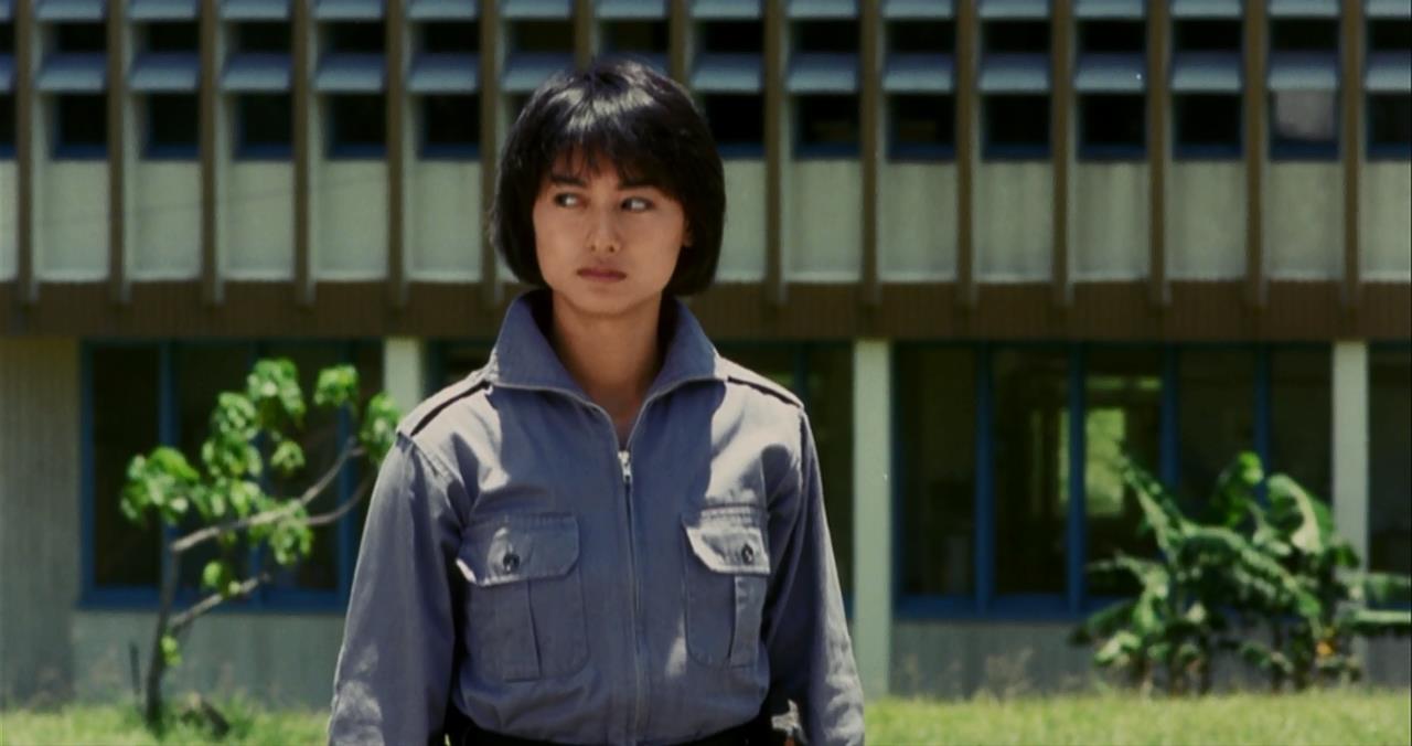 霸王花剧照的剧照