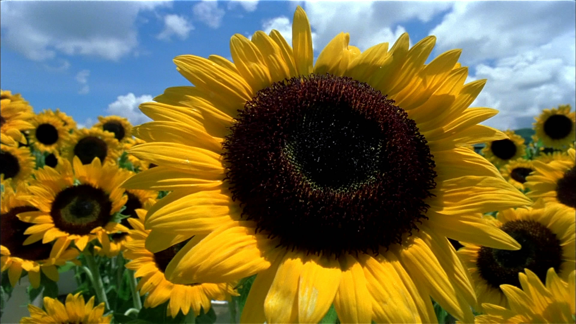 我左眼见到鬼剧照的剧照