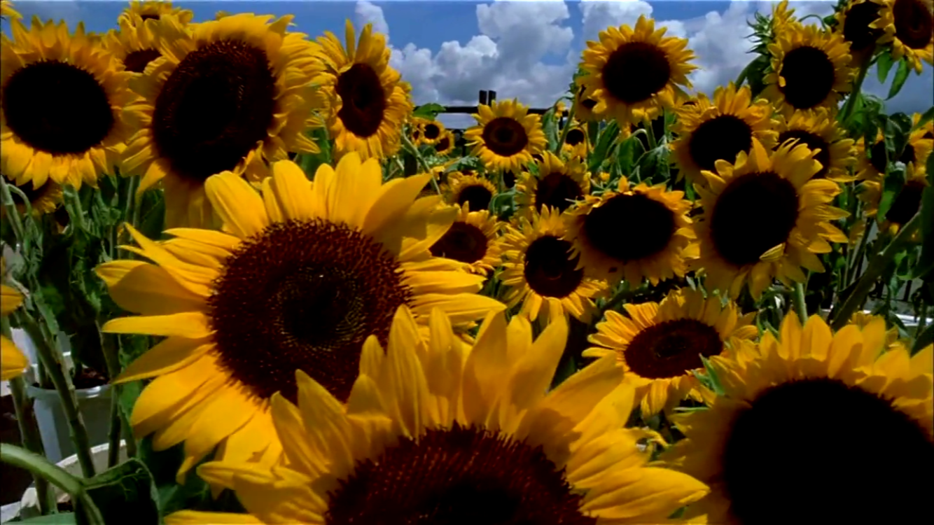 我左眼见到鬼剧照的剧照