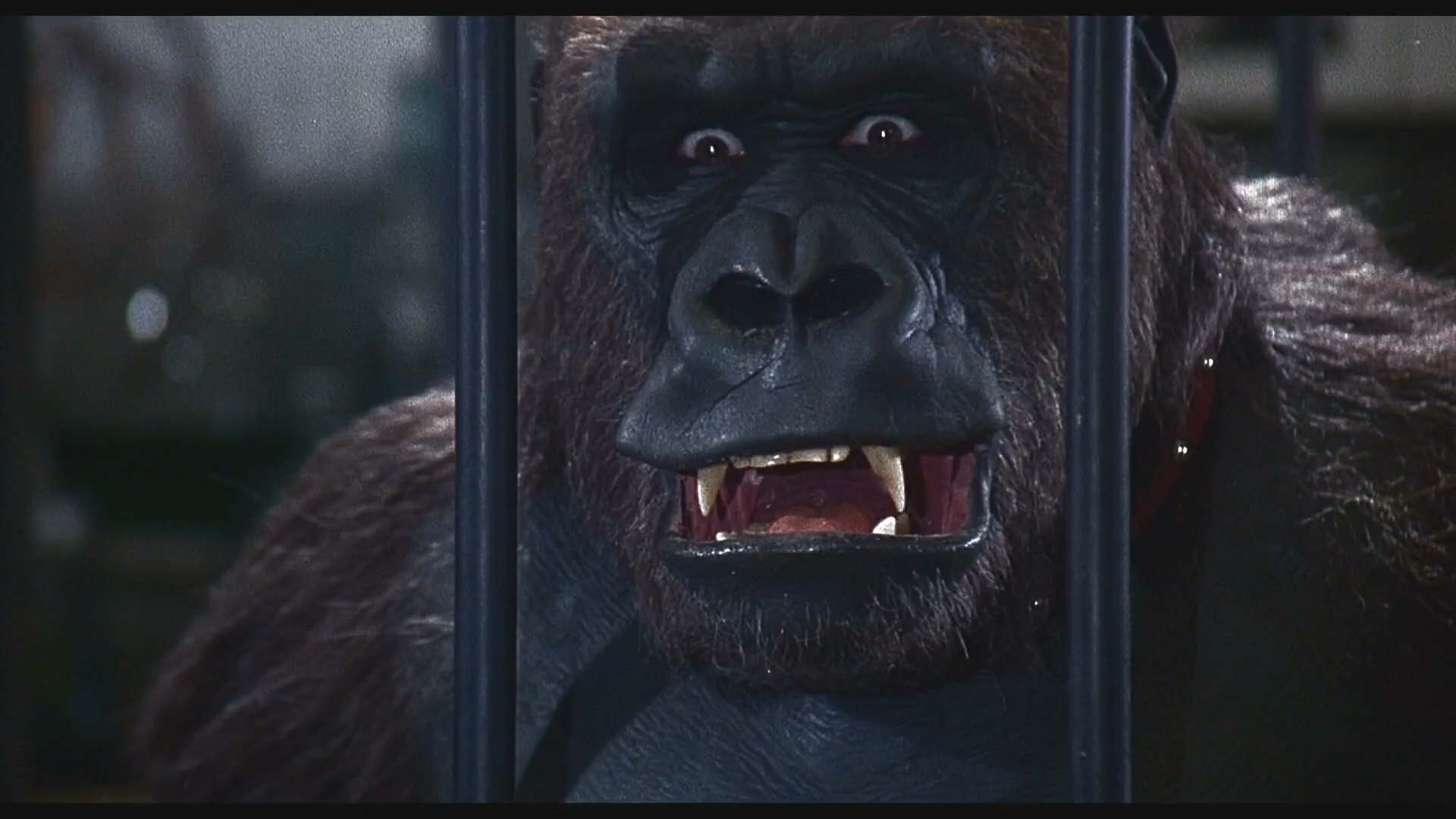 缩水老婆剧照的剧照