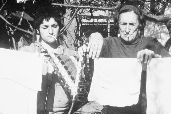 突如其来的夏天剧照的剧照