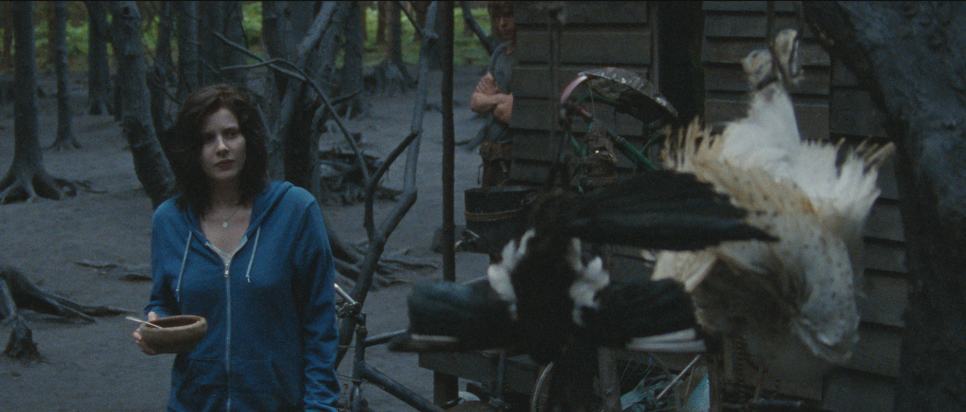 隐蔽处剧照的剧照