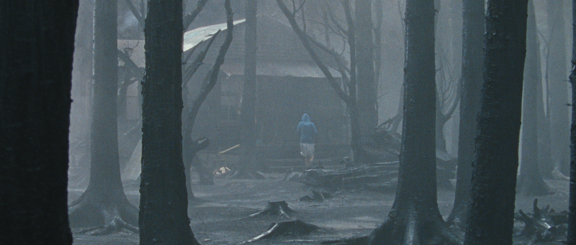 隐蔽处剧照的剧照