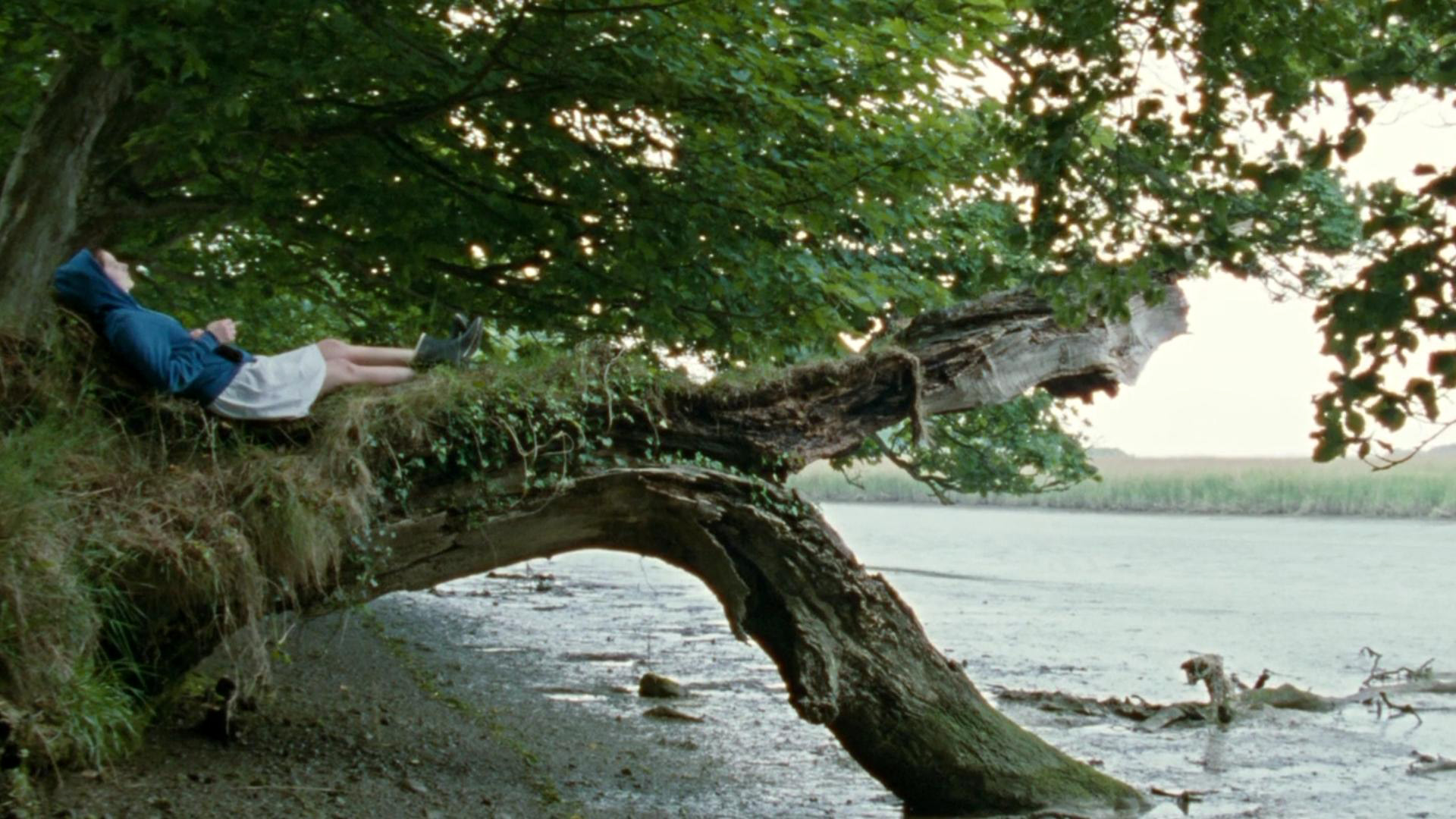 隐蔽处剧照的剧照