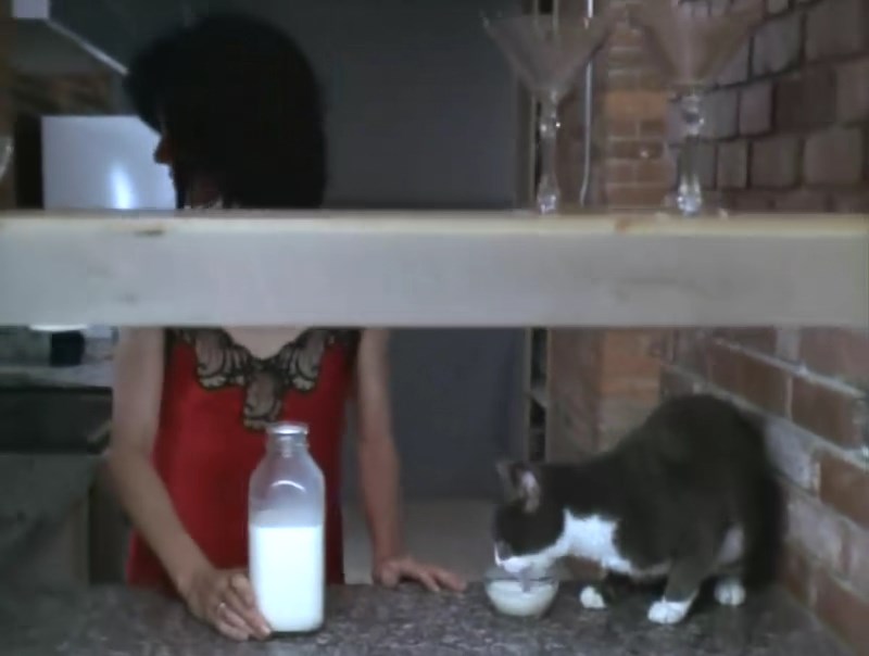 梦幻女煞剧照的剧照