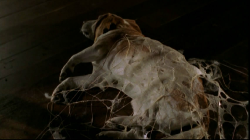 变形蜘蛛人剧照的剧照