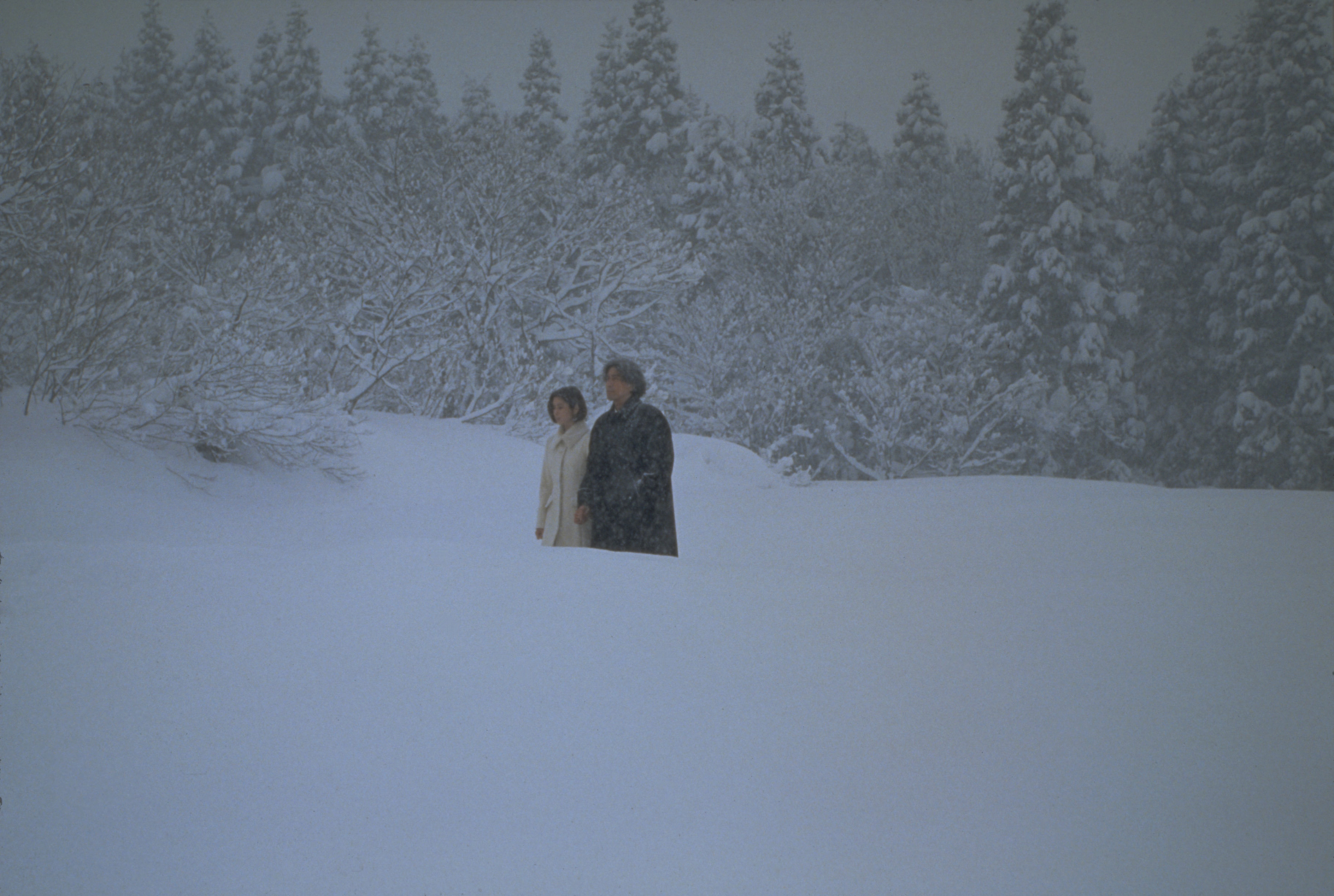 失乐园剧照的剧照