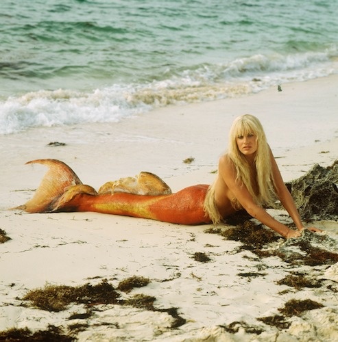 美人鱼剧照的剧照