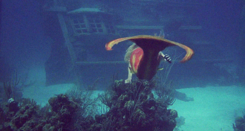 美人鱼剧照的剧照