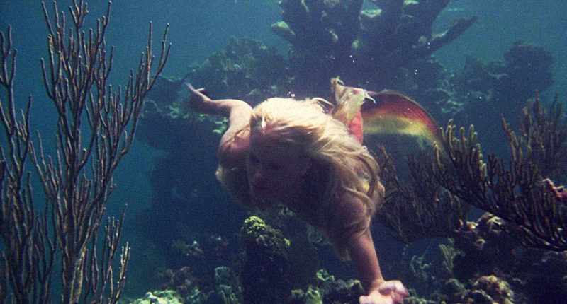 美人鱼剧照的剧照