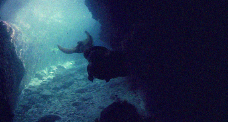 美人鱼剧照的剧照