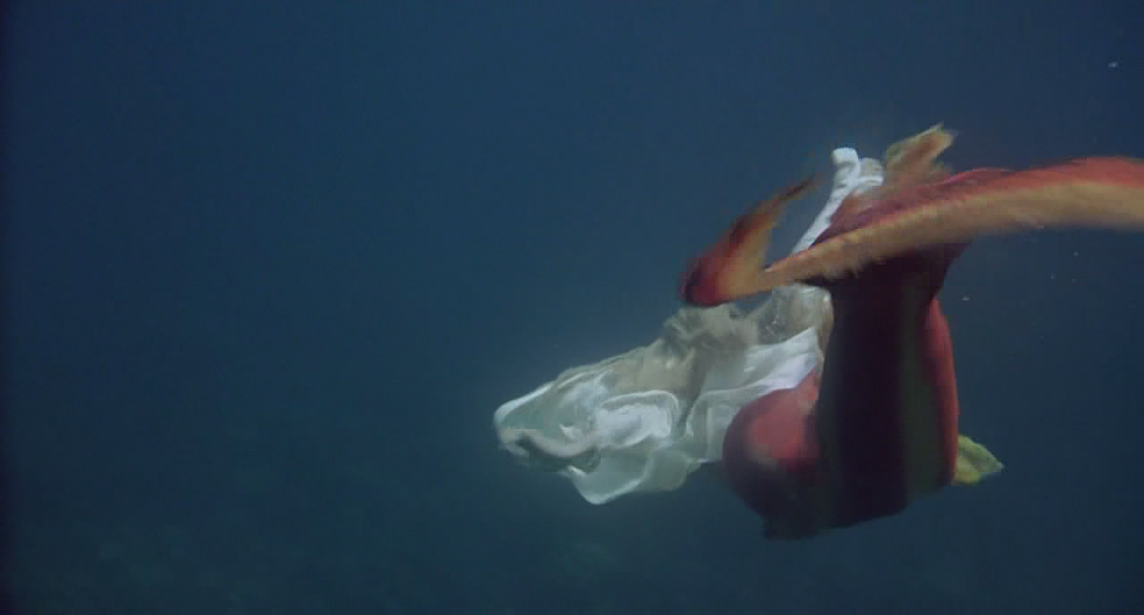 美人鱼剧照的剧照