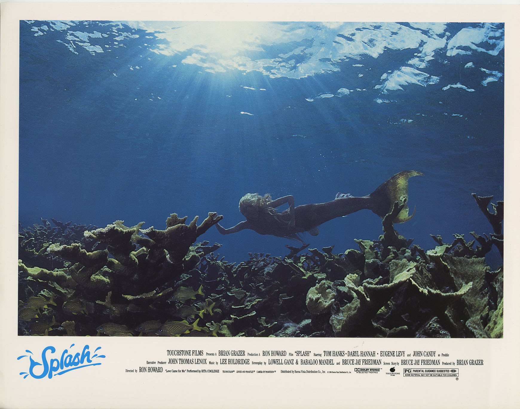 美人鱼剧照的剧照