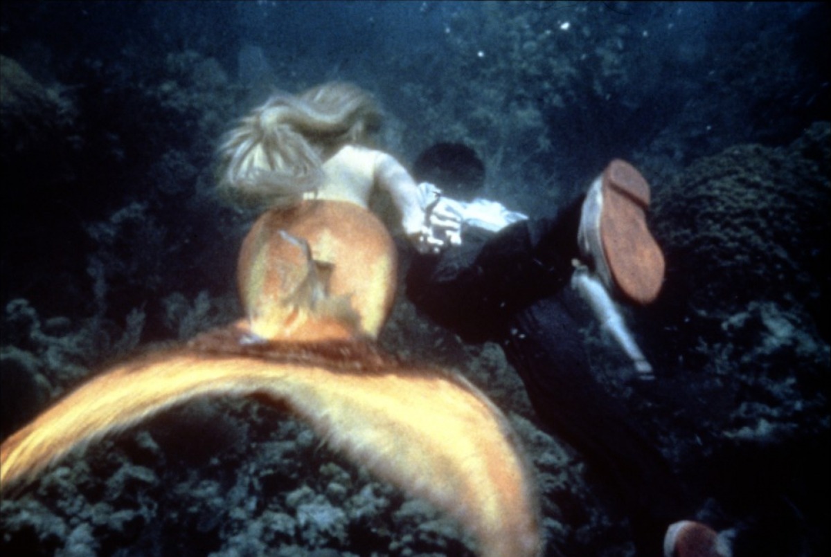 美人鱼剧照的剧照