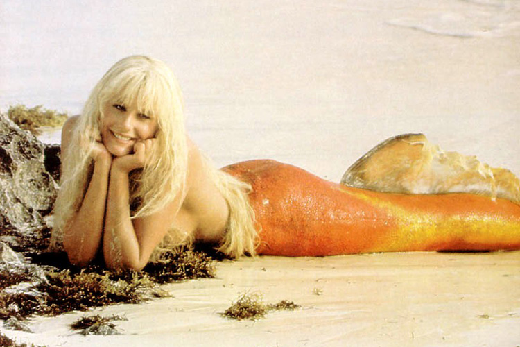 美人鱼剧照的剧照