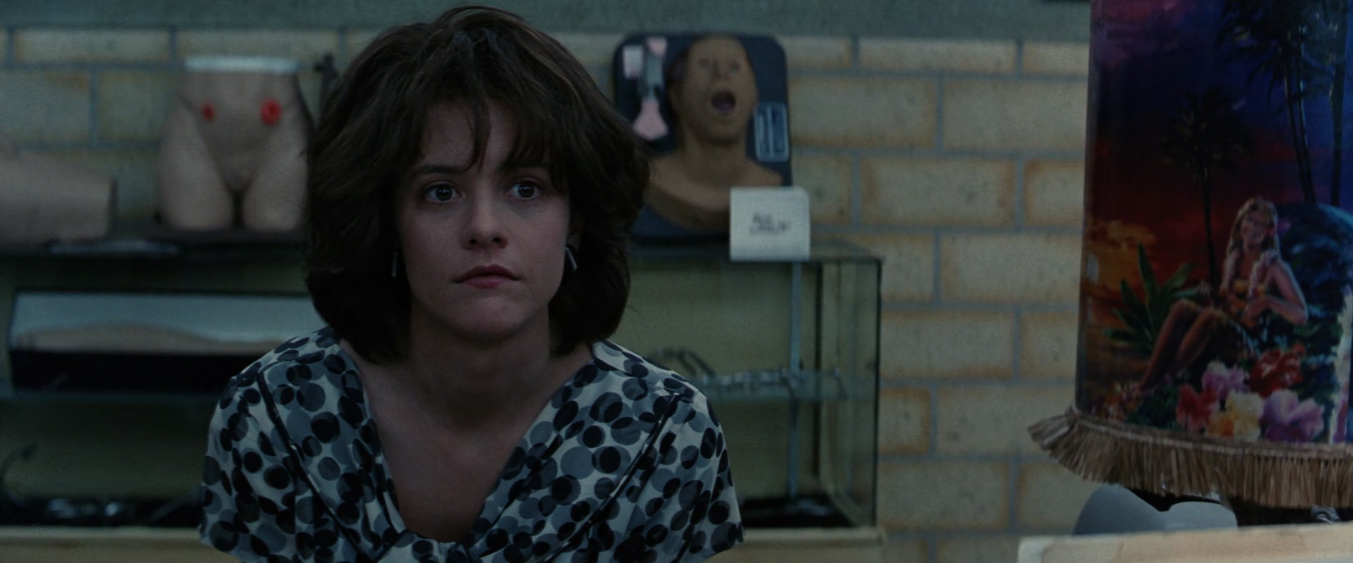 魔岛仙踪剧照的剧照